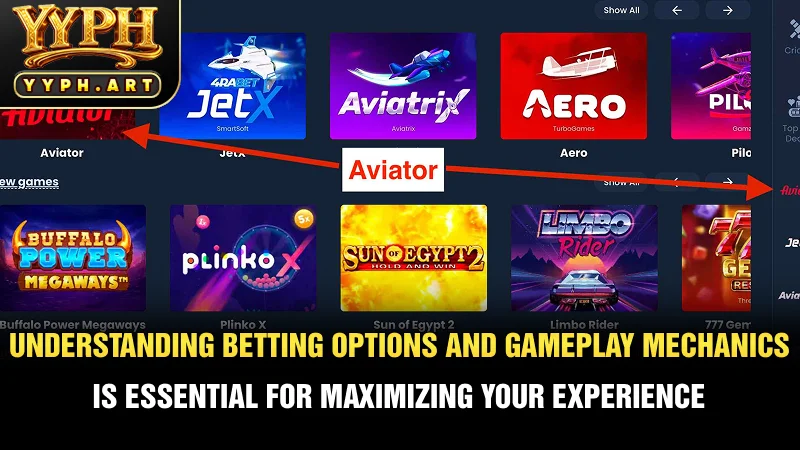 Understanding betting options and gameplay mechanics is essential for maximizing your experience